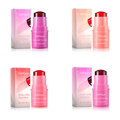2-in-1 blush lip gloss stick