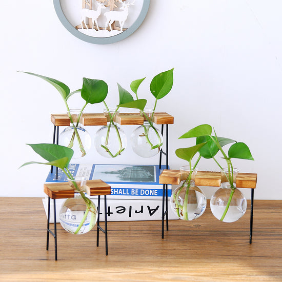 Hydroponic Vase
Wooden Vase
Glass Vase
Iron Frame Vase   
Plant Vase